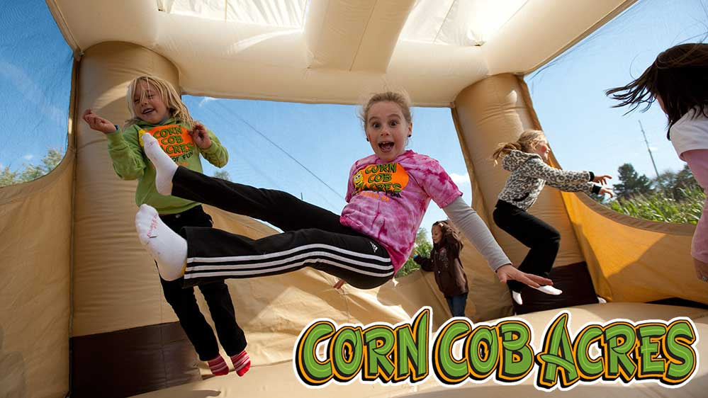 Corn Cob Acres 50 Off Fall Family Activities