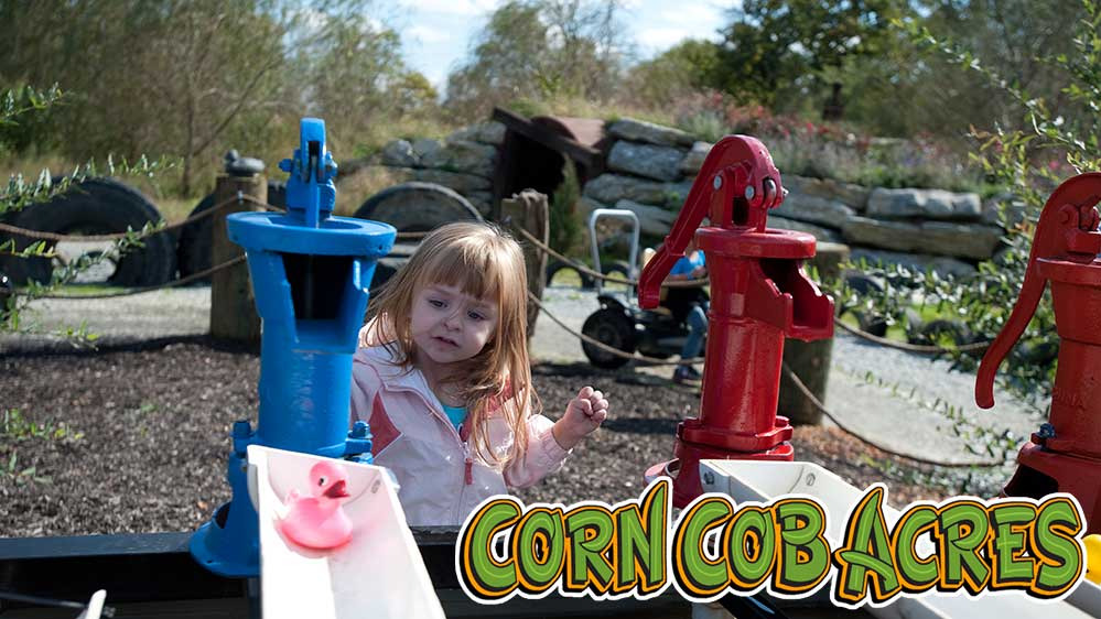 Corn Cob Acres 50 Off Fall Family Activities